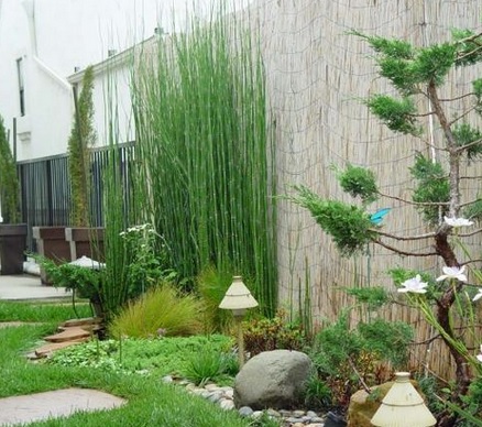 Menanan bambu air di dinding kolam taman dapat menambah kesan kesejukan pada pekarangan rumah anda.
