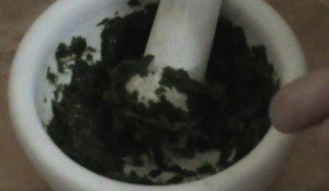 Manfaat Daun Sirih Untuk Jerawat - BibitBunga.com