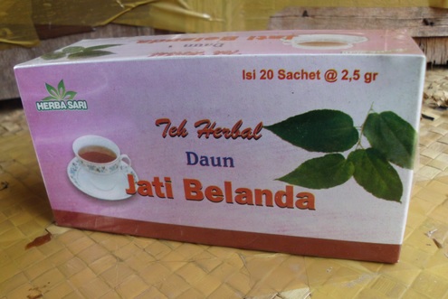 Salah satu produk teh herbal olahan daun jati belanda yang siap diseduh kapan saja.