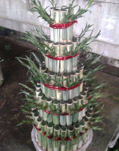 bambu-hoki-pagoda-lima-tingkat-variegata