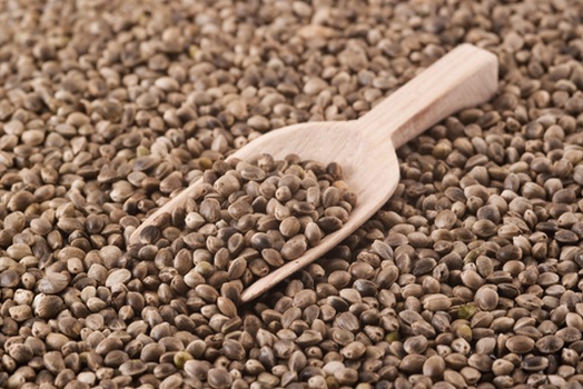 Fumayin seed, also known as hempseed, is a plant of the cannabis genus that is prohibited by law.