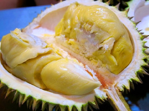 Durian montong unggul dari segi ukuran, daging, cita rasanya yang berbeda dari jenis durian yang lain.