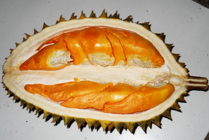 durian-orange