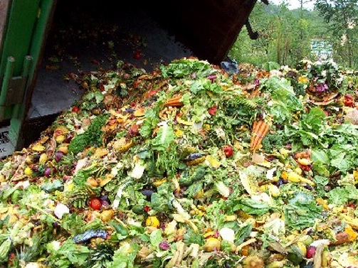 Limbah rumah tangga seperti sisa sayuran, sisa makanan ataupun kulit buah merupakan sampah organik basah yang bisa diolah menjadi kompos.
