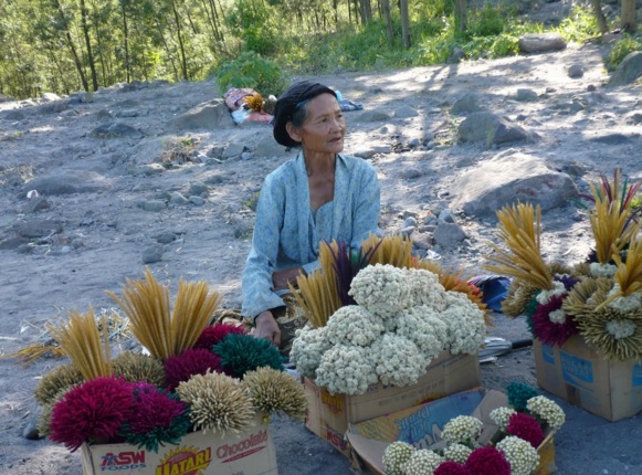 Karena tuntutan ekonomi, banyak warga yang tinggal di sekitar pegunungan ikut memperjual belikan bunga edelweis.