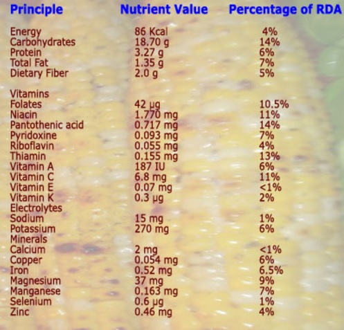 Gambar keterangan di atas menujnukkan banyaknya kandungan senyawa alami yang dikandung dalam jagung manis. Inilah yang membuktikan bahwa jagung manis menyimpan segudang manfaat bagi kesehatan tubuh manusia.