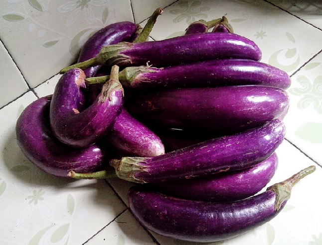 Setelah mengikuti tahap-tahap penanamannya, hasil panen terong ungu Anda akan memuaskan. Bisa Anda jual ataupun diolah sendiri.