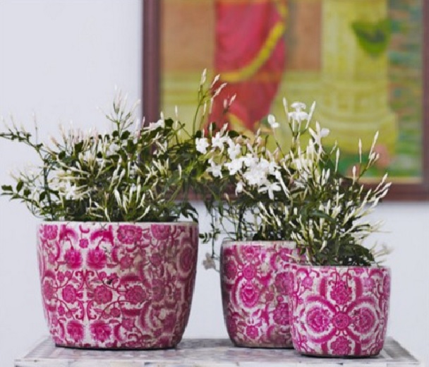 Anda bisa menggunakan pot keramik untuk bunga-bunga indoor.