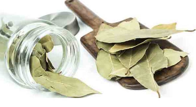 Contoh daun salam kering. Daun salam bisa digunakan dalam keadaan segar ataupun kering. Saat dijadikan penyedap masakan, aromanya tetap sama. Saat direbus untuk menjadi obat, khasiatnya juga tetap sama.