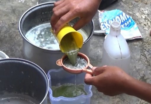 Membuat Pestisida dari Sumber Daya Lokal: Pemanfaatan Bahan Alami dalam Pertanian Organik di Desa