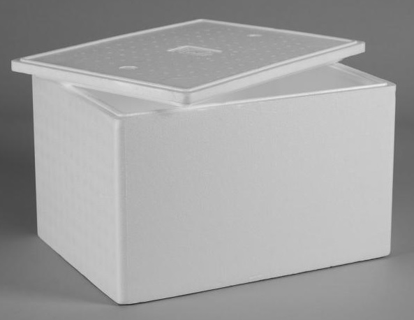 Contoh box sterofoam yang digunakan untuk menanam sayuran secara hidroponik.