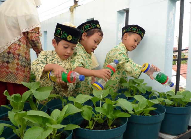 Cara budidaya sawi di pot atau polybag sanggup dilakukan dengan sangat gampang alasannya metode y Cara Budidaya Sawi Di Pot Atau Polybag