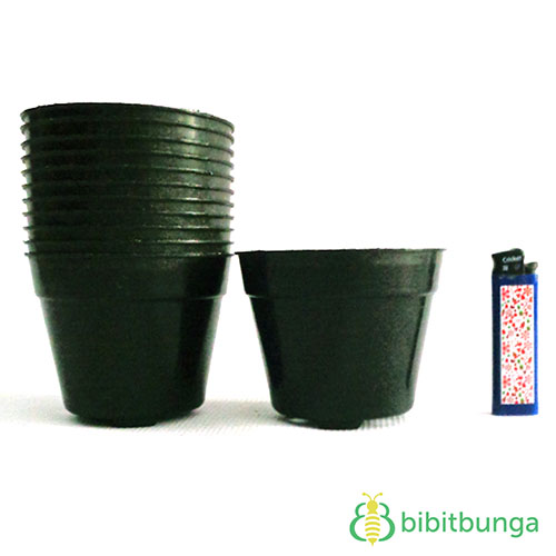 Jual Pot  Plastik  Hitam   10  cm  BibitBunga com