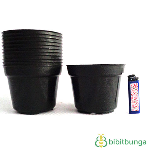 Jual Pot  Plastik  Hitam   12 cm BibitBunga com