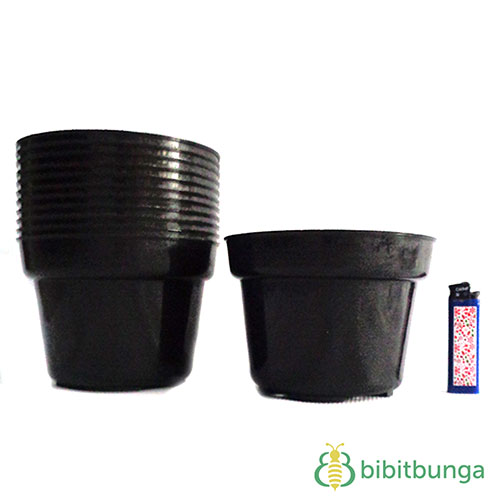 Jual Pot  Plastik  Hitam  15 cm BibitBunga com