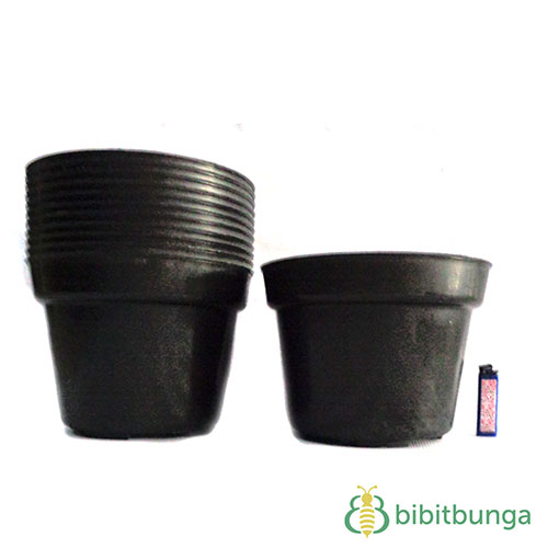 Jual Pot  Plastik  Hitam   25 cm BibitBunga com