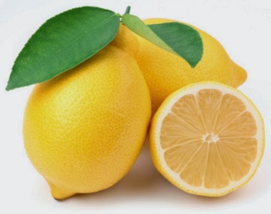 tanaman-hias-buah-jeruk-lemon-import