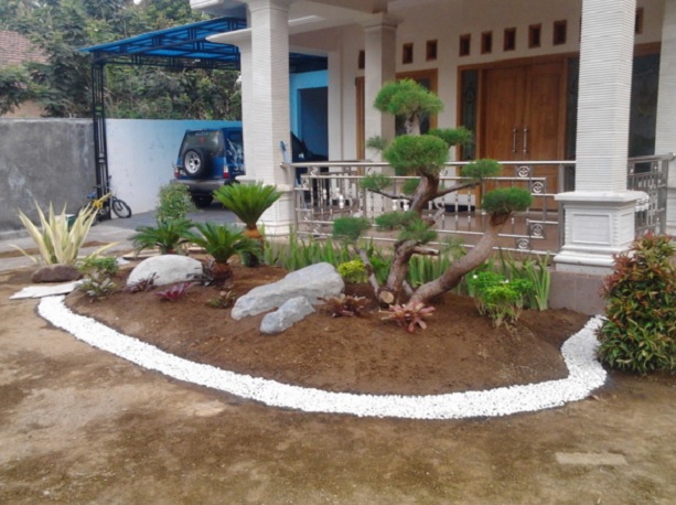 Contoh penyediaan lahan tanam rumput di pekaranga rumah. Tanahnya harus dibersihkan dan digemburkan terlebih dahulu sebelum proses penanaman rumput berlangsung.