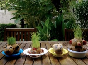 Mengenal Boneka Horta dan Boneka Potty - BibitBunga.com
