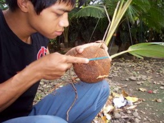 kerok-batok-kelapa
