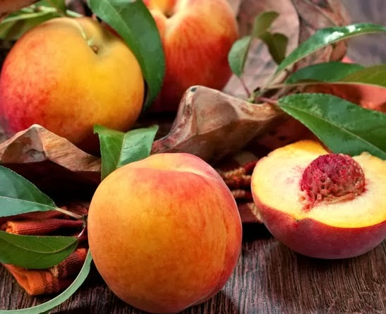 Bibit buah persik kini tersedia di toko online bibitbunga.com. Ini adalah salah satu produk yang paling dinantikan oleh pecinta tanaman buah, sekaligus tanaman hias karena bunganya indah seperti sakura.