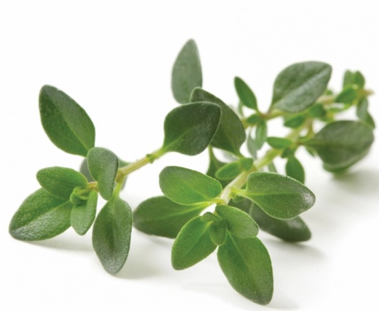 Thyme is one of the herbs that