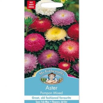 Benih Aster  Pompon  Mixed 250 Biji Mr Fothergills 