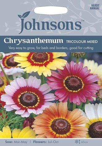 chrysanthemum-tricolor-single-mixed