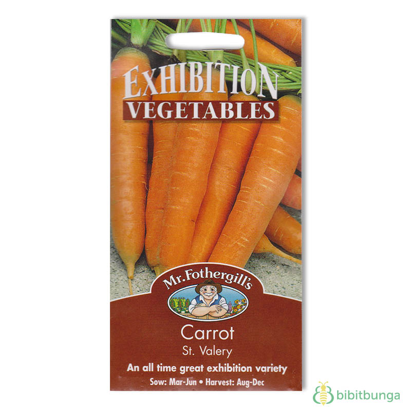 carrot-st