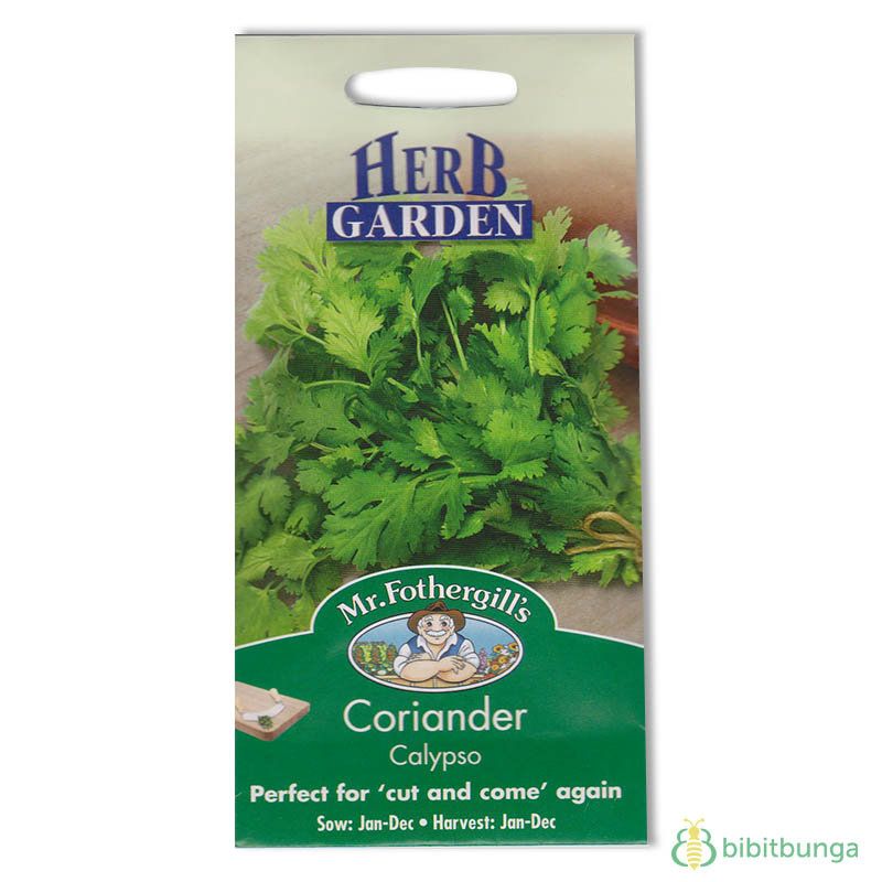 coriander-calypso