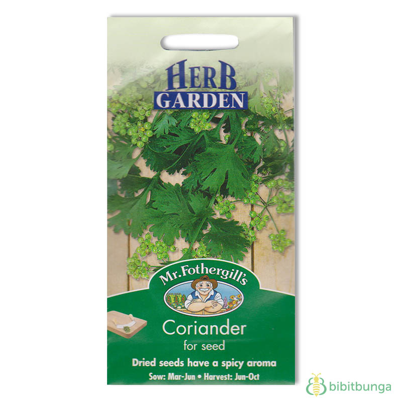 coriander-for-seed