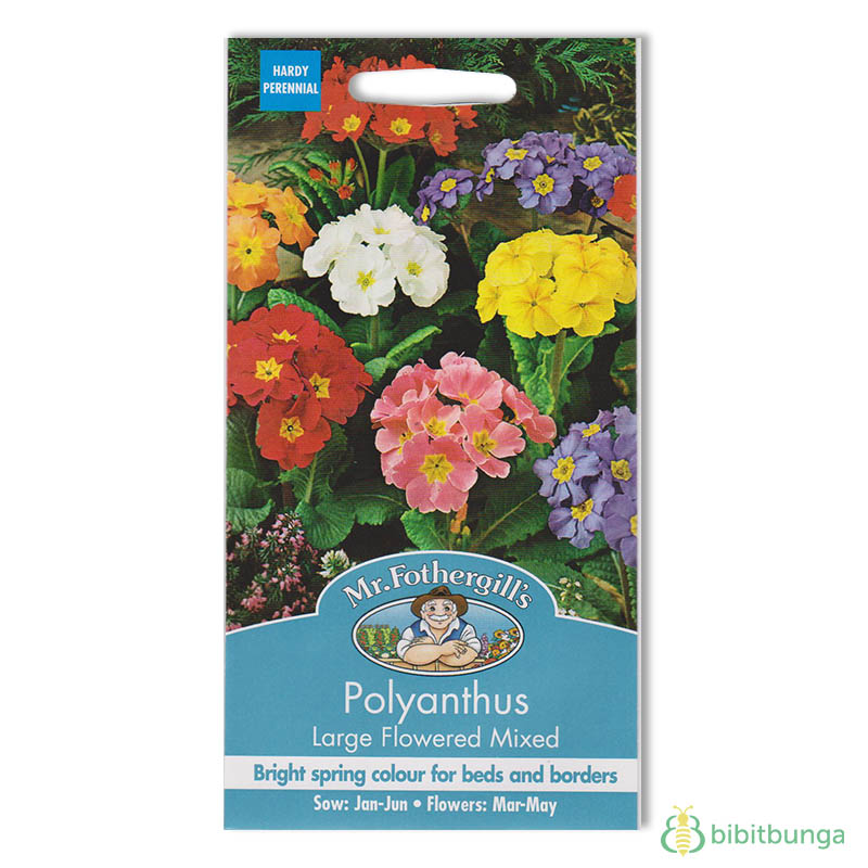 polyanthus-large-flowered-mixed