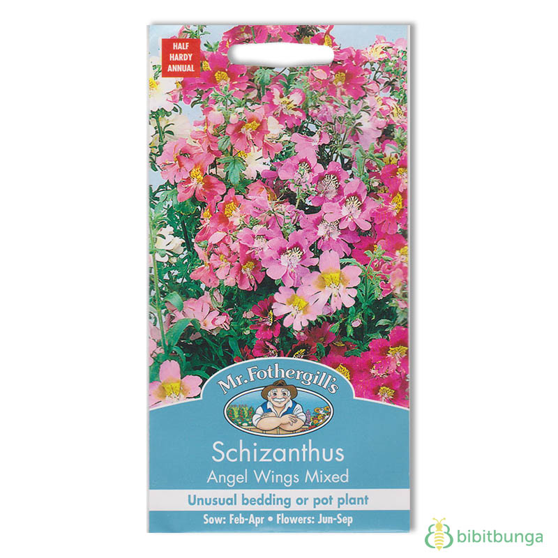 schizanthus-angel-wings-mixed