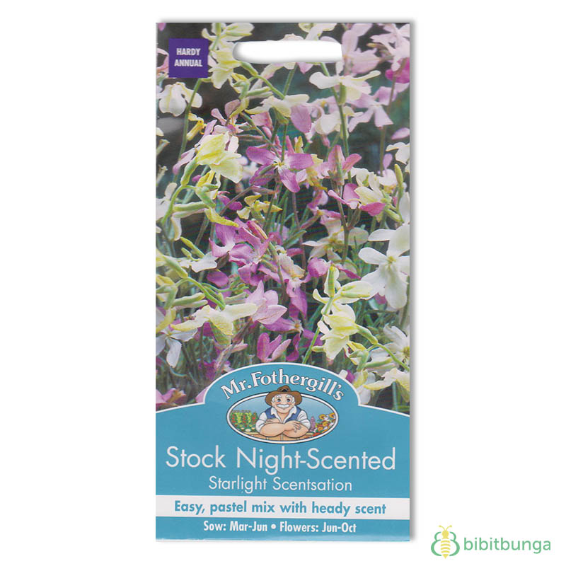 stock-night-scented