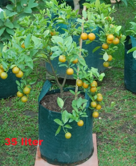 planter-bag-35-liter