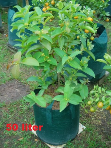 planter-bag-50-liter
