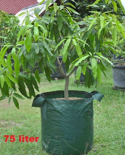 planter-bag-75-liter