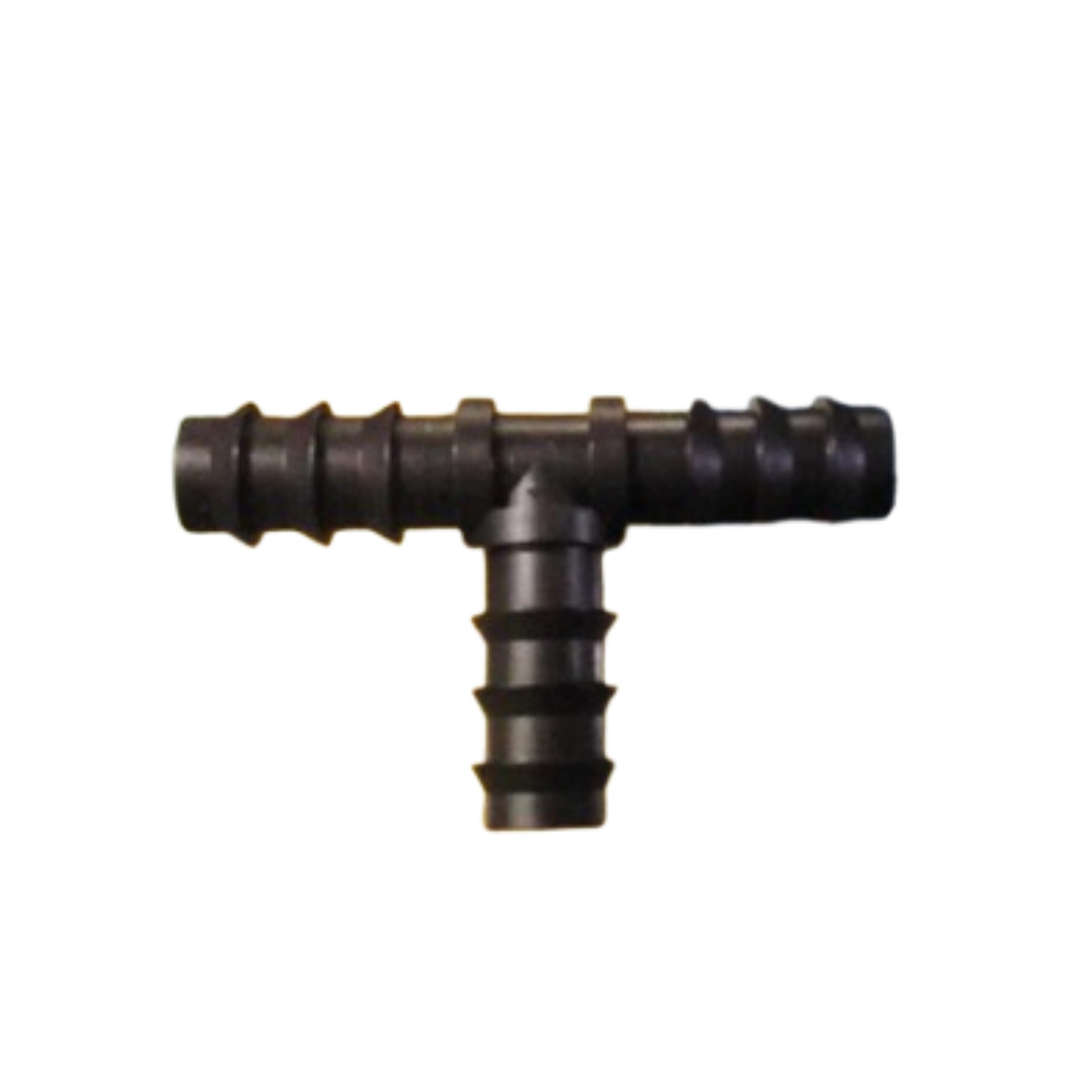 MixCollage-05-Feb-2026-01-23-PM-5631