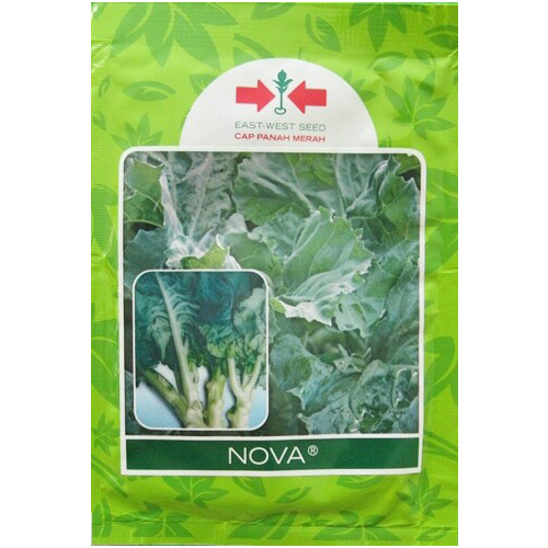 Jual Benih Kailan Nova 25 gram Murah BibitBunga com