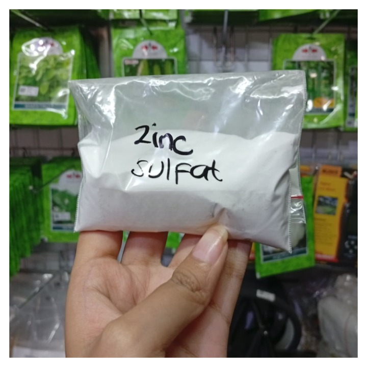 MixCollage-30-Oct-2025-03-11-PM-8272_cleanup