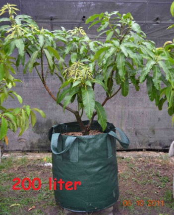 https://bibitbunga.com/wp-content/uploads/2017/04/planter-bag-200-liter.jpg