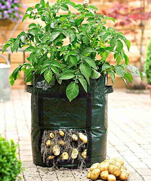 Planter Bags, Planter Bags Manufacturers, Planter Bags Suppliers Ahmedabad,  India