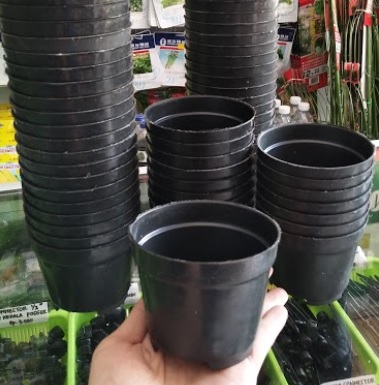 Jual Pot Bunga Tanaman Hitam 10 Cm Bibitbunga Com