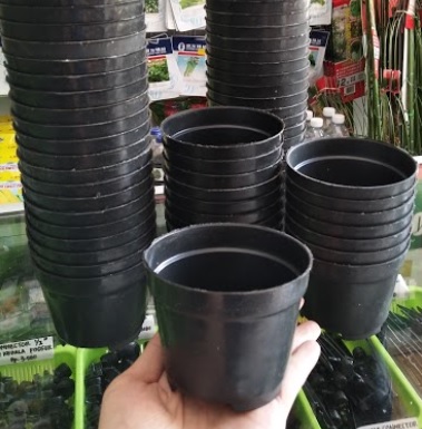 Jual Pot  Bunga Tanaman Hitam  10 cm BibitBunga com