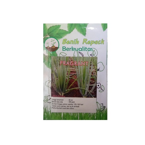 benih daun bawang fragrant 0 5 gram repack kys bibit bunga benih daun bawang fragrant 0 5 gram repack kys bibit bunga