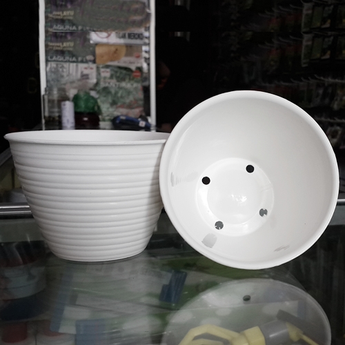 Jual Pot  Tanaman Bunga Plastik Tawon  Putih  12 cm 