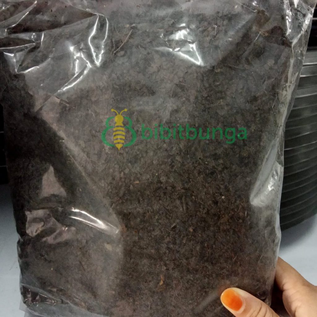 Jual Pupuk Kompos Daun Trembesi 1kg 1 kg untuk Media Tanam