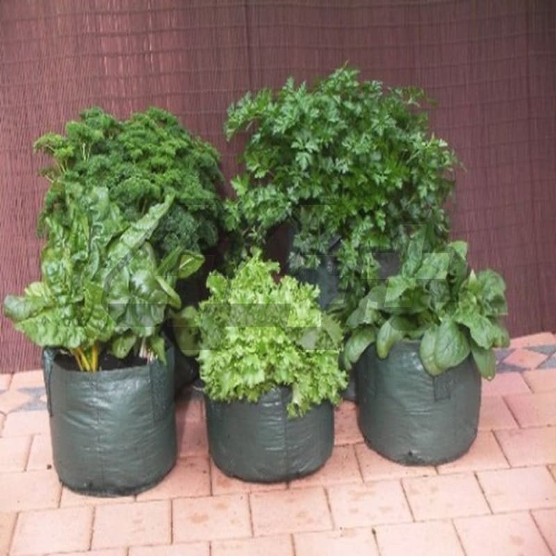 Potato Planter Bag Easy Grow  Perlengkapan Berkebun di Rumah