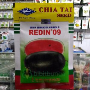 Jual Benih Bibit Semangka Lonjong Inul Redin F Gr Biji Merah