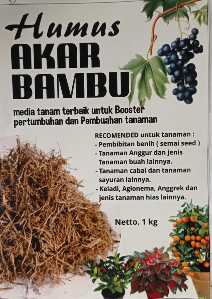 Jual Humus Akar Bambu Media Tanam Premium Penyubur Tanaman Kompos Organik Bibitbunga Com